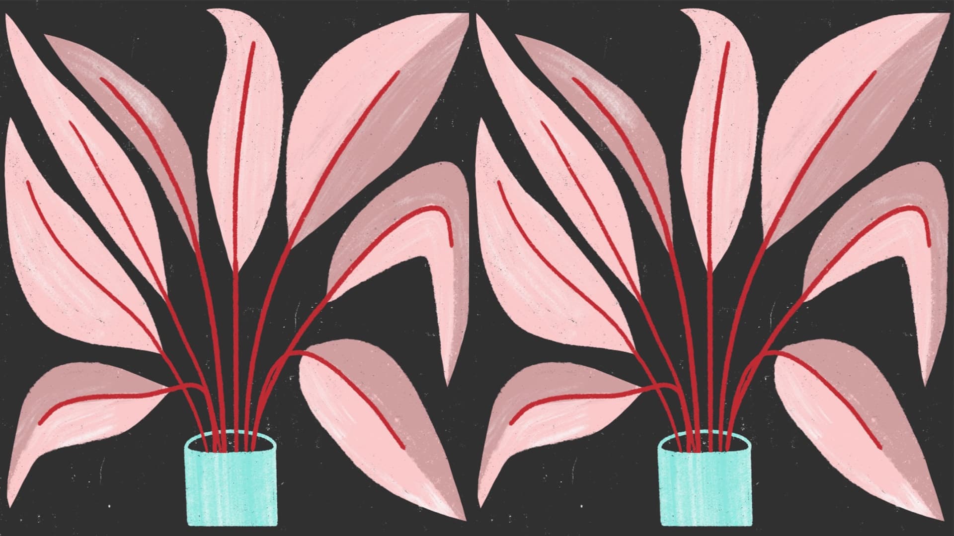 Illustration image, plant